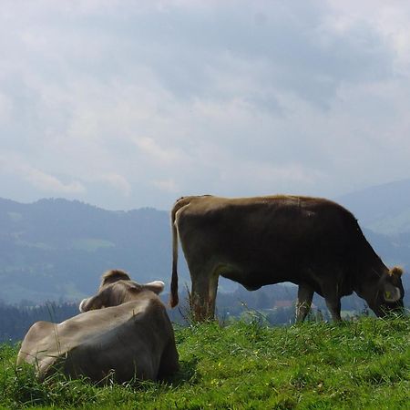 Landhotel Herzberger Garni Zimmer & Ferienwohnungen Шайдег Екстериор снимка